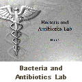 Antibiotics Lab