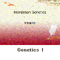 GeneticsI