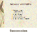 Succession