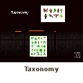 Taxonomy